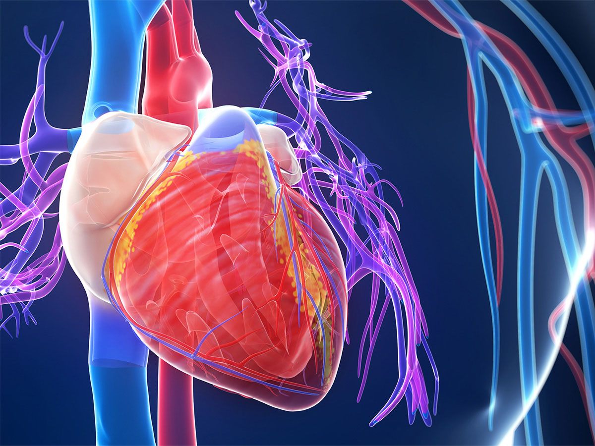 Extubation et ECMO