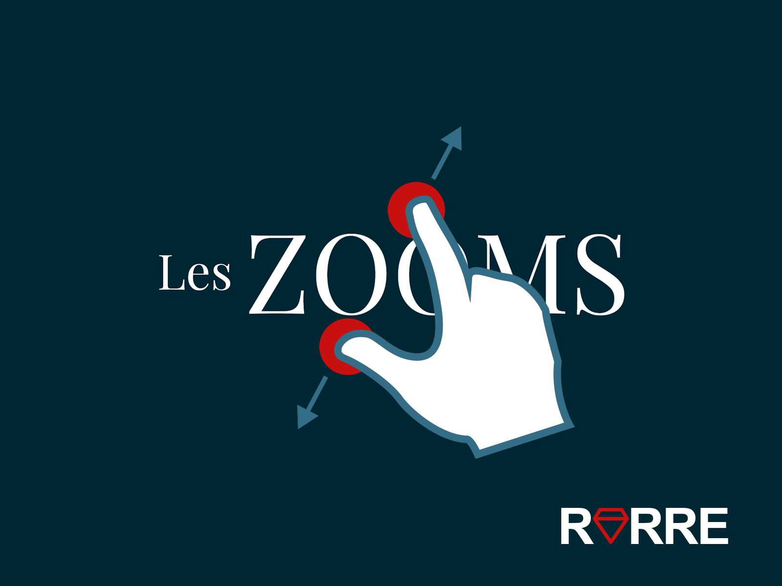 Zooms sur les études RARRE